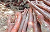 Cops seize Red sanders worth Rs 28 lakhs, seize 3 vehicles, arrest 7 persons